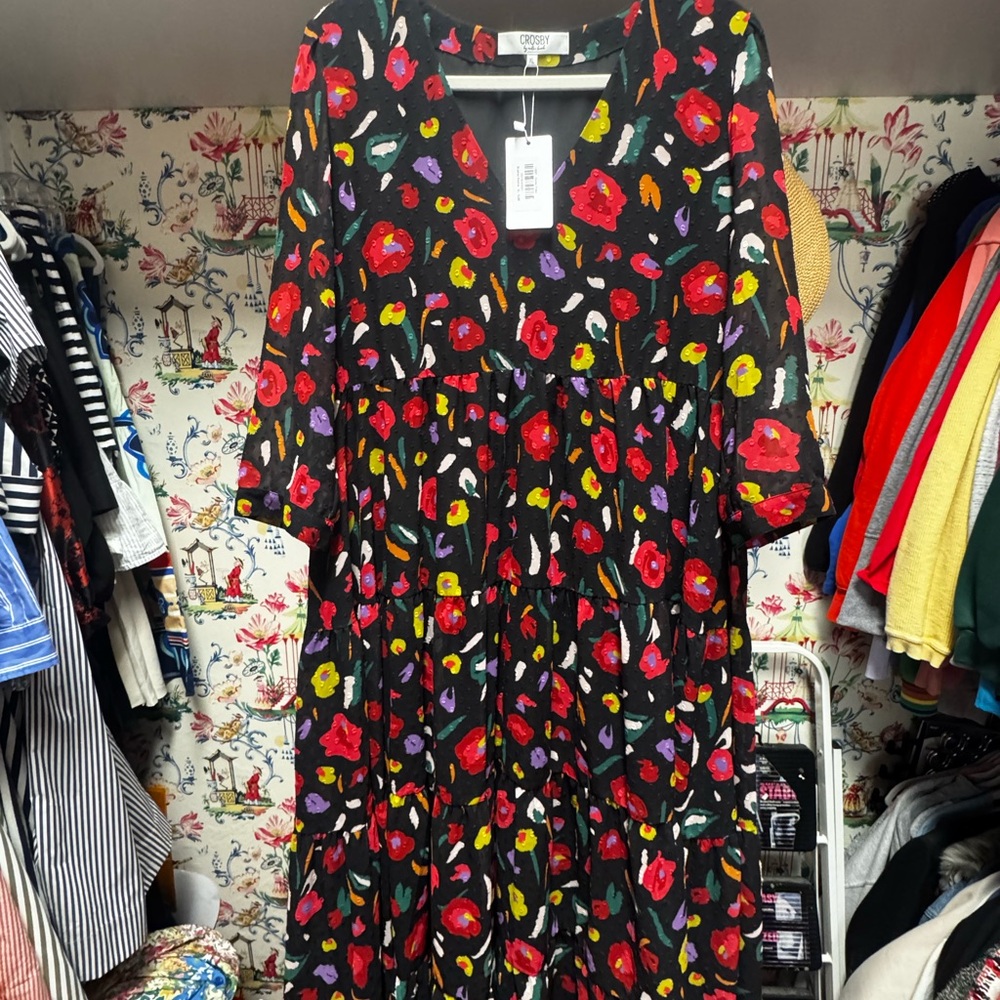 CROSBY by Mollie Burch Multicolor Floral Long Sleeve Dress, BNWT. Gorgeous dress